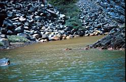 tn_sant_143_palaea_kameni_warme_quellen.jpg
