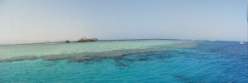 gordonreef2.jpg