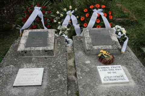 Ipsics M�rta s�rja G�ll�n (1)