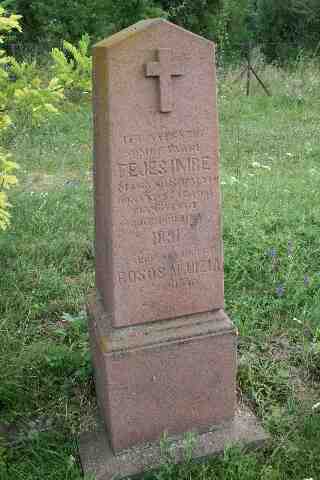 Rosos Aluisia s�rja (1)