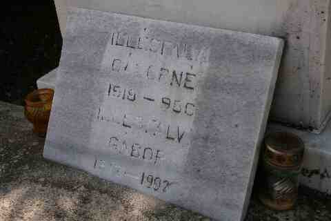 Ill�sfalvi G�bor �s neje Ill�sfalvi G�born� m�rv�nyt�bl�ja Hannig Szidonia s�rk�v�n (1)