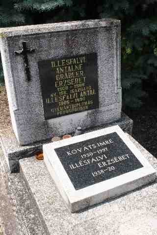 Ill�sfalvi Antal �s Gr�bler Erzs�bet s�rja (1)