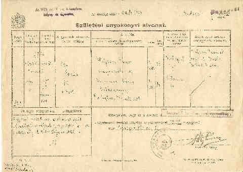 V�gv�lgyi Ott� sz�l ak kiv (1)