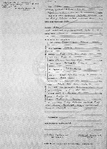 Niedermayer Szidonia Anna sz�l ak kiv (1)