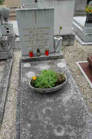 Kov�cs B�lint s�rja (1)