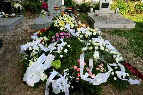 Meidlinger Ilona temet�se (1)