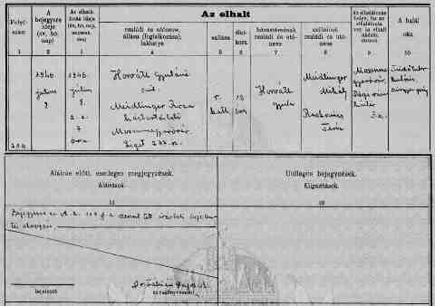 MEIDLINGER R�za hal.ak.kivonata (1)