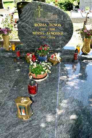 R�ZSA J�nos �s feles�ge s�rja (1)