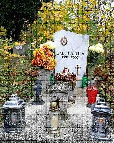 GALL� Attila s�rja (1)