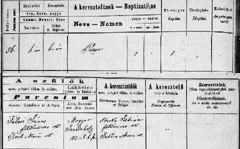 T�LOSI P�ter sz�l.ak 1872-05-06