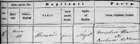 HAMMER Ter�sia sz�l.ak 1833-01-20