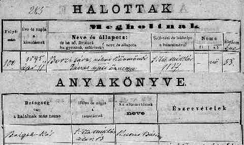 BORZI S�ra hal. ak 1895-04-11