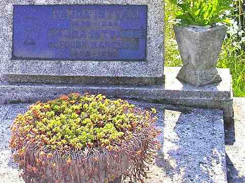 VAJDA Istv�n �s FODOR Karolina s�rhelye