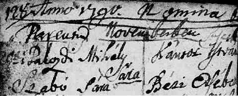 P�KOZDI S�ra sz�l. ak.1790-11-20