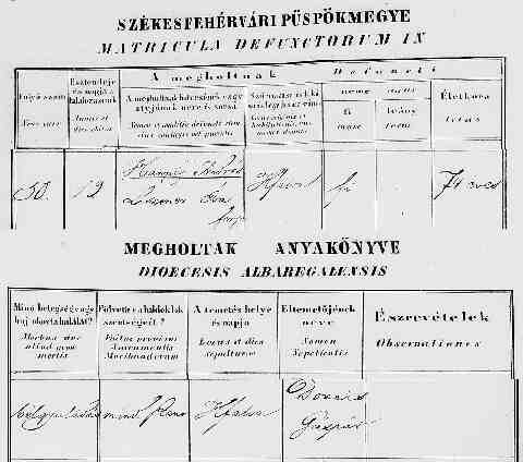 HANNIG Andr�s hal. ak. 1865-07-12_Hercegfalva