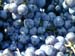 DSCN3155