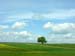 0021baumalleine