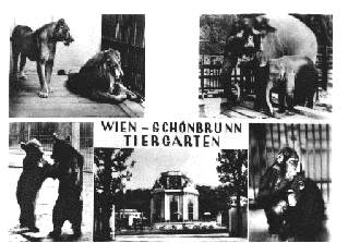 Tiergarten Sch&ouml;nbrunn