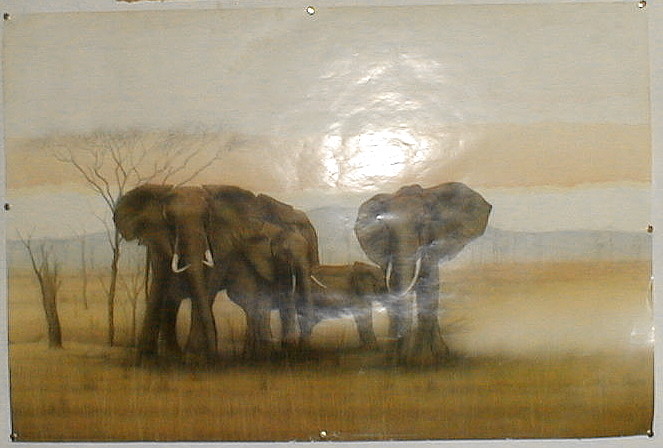 Bilder-Poster