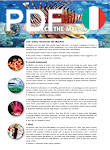 Protect the Maldives brochure in Italiano