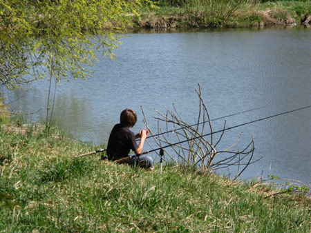 Fischen im Teich bei Tigring