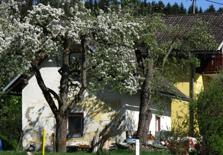 altes Haus in Witsch 