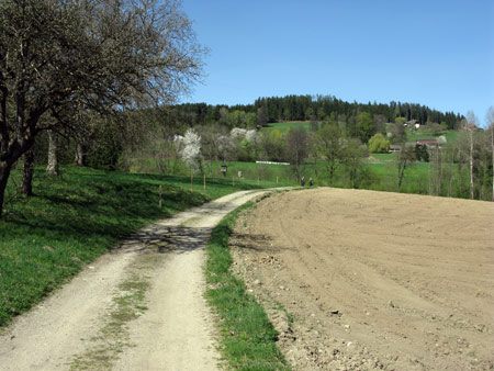 Wanderweg von Tigring nach Witsch
