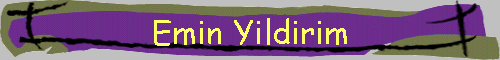 Emin Yildirim