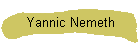 Yannic Nemeth