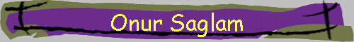 Onur Saglam