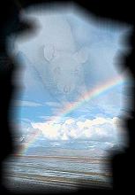 Regenbogen