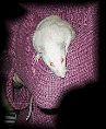 Humphrey