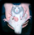 Lars