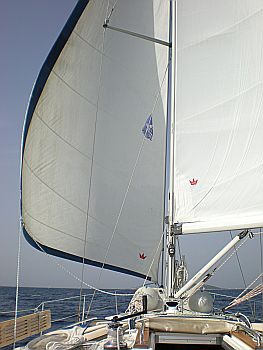 2007_C_08
