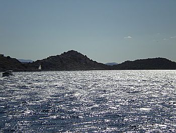 2007_C_12