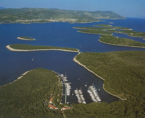 PALMIZANA