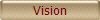 Vision