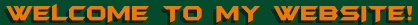 Welcome to my website!