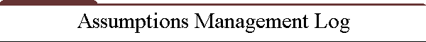 Assumptions Management Log