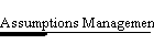 Assumptions Management Log