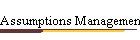 Assumptions Management Log