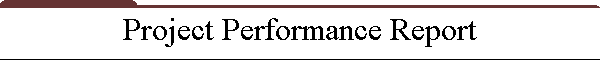 Project Performance Report