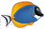 AtosOrigin DoktorFish