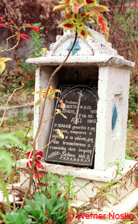 SNS004559